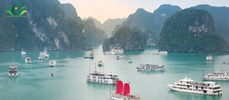Focus sur le tourisme durable Focus sur le tourisme durable