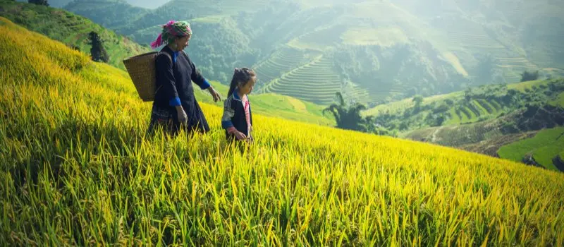 Voyage à Sapa