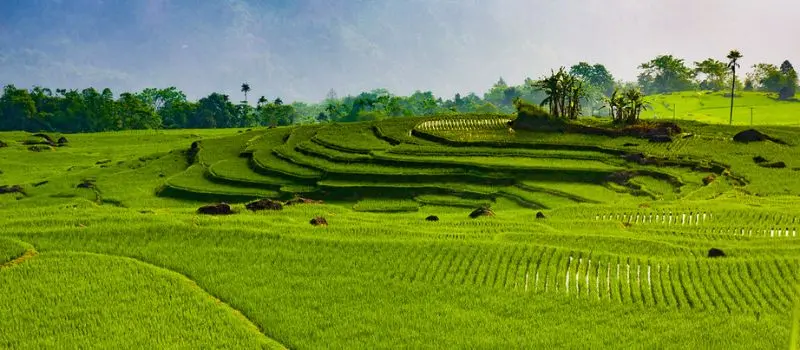 Voyager avec un Guide francophone au Vietnam pour visiter Pu Luong Voyager avec un Guide francophone au Vietnam pour visiter Pu Luong