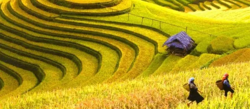 Hoang Su Phi Hoang Su Phi
