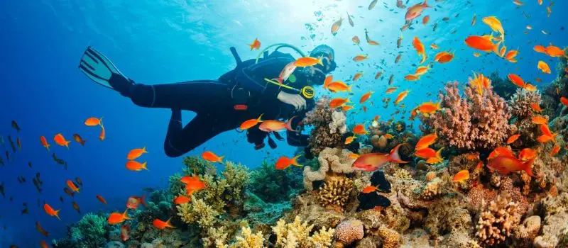 Voyage de luxe au Vietnam pour profiter des activités nautiques amusantes Voyage de luxe au Vietnam pour profiter des activités nautiques amusantes
