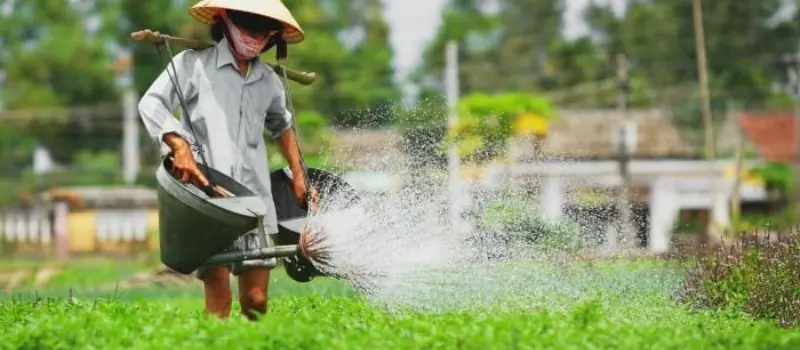 Voyage de luxe au Vietnam pour visiter des jardins et fermes biologiques Voyage de luxe au Vietnam pour visiter des jardins et fermes biologiques