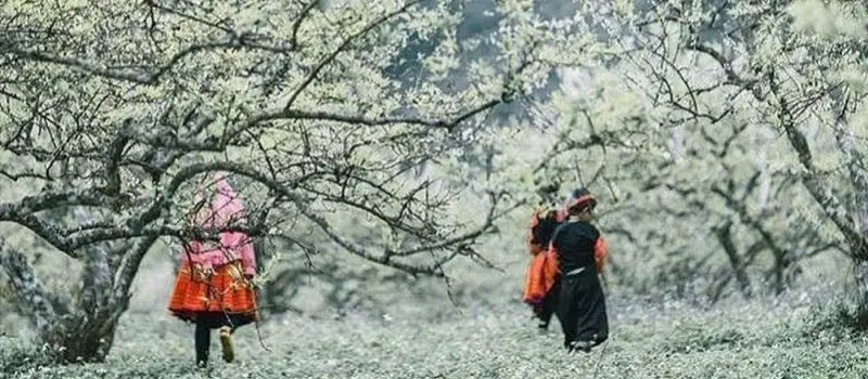 Météo à Mai Chau en janvier