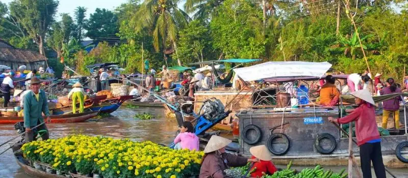 Croisiere au delta du Mekong pour visiter des vergers et jardins fruitiers Croisiere au delta du Mekong pour visiter des vergers et jardins fruitiers