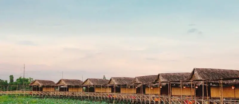 Que voir au Vietnam - Cao Lanh Que voir au Vietnam - Cao Lanh