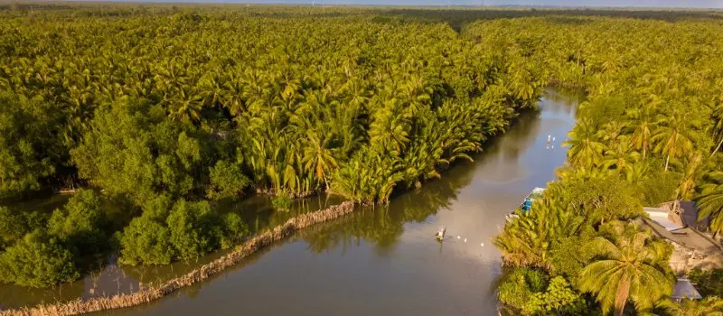 Ben Tre - L’une des attractions touristiques du Vietnam Ben Tre - L’une des attractions touristiques du Vietnam