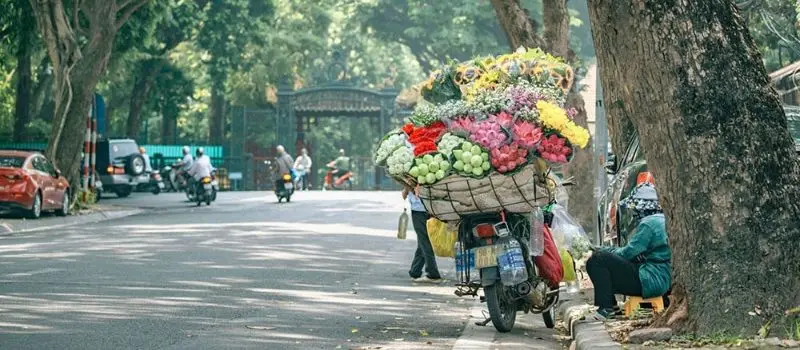 Partez en voyage au Vietnam pour découvrir le charme de l'automne de Hanoi