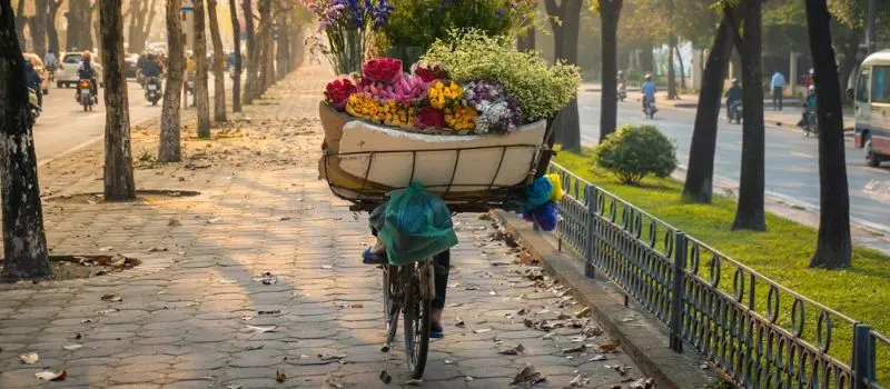 Partez en voyage au Vietnam pour découvrir le charme de l'automne de Hanoi