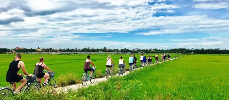 Faire du vélo à travers les rizières Faire du vélo à travers les rizières