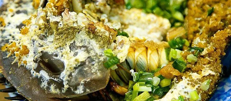 Limule de mer Limule de mer