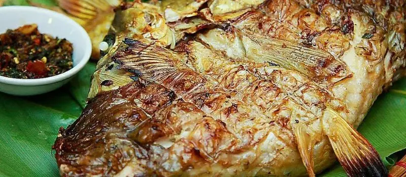 Poisson de rivière