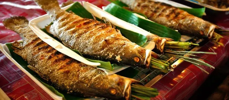 Poisson Poisson