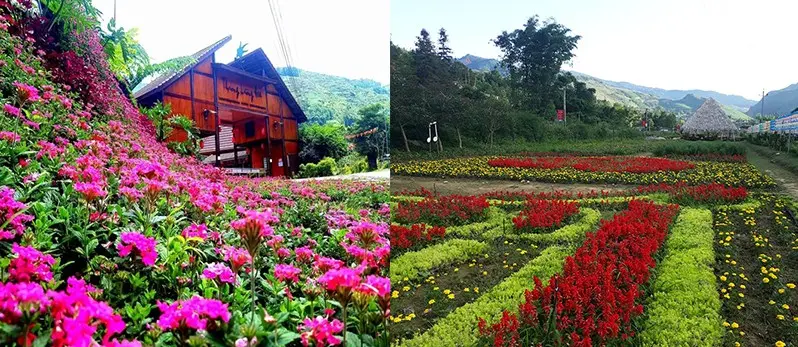 Voyage au Vietnam pour Festival de couleurs dans la vallée des fleurs Bac Ha Voyage au Vietnam pour Festival de couleurs dans la vallée des fleurs Bac Ha