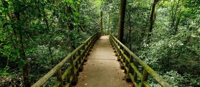 Découverte du parc national de Cuc Phuong