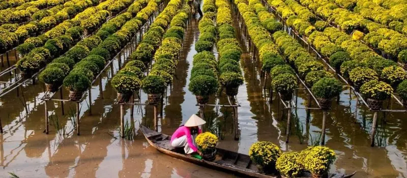 Saison des pluies dans le delta du Mékong