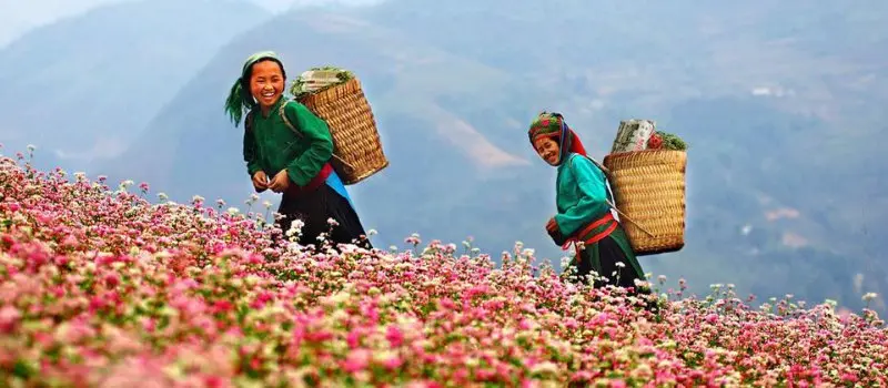 Voyage à Ha Giang en hiver Voyage à Ha Giang en hiver