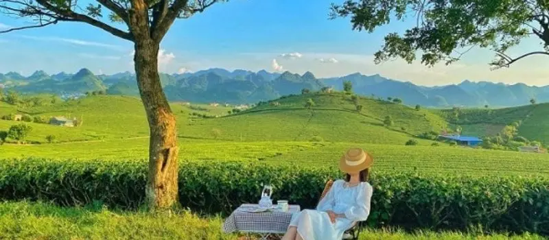 Meilleur moment pour visiter Moc Chau Meilleur moment pour visiter Moc Chau
