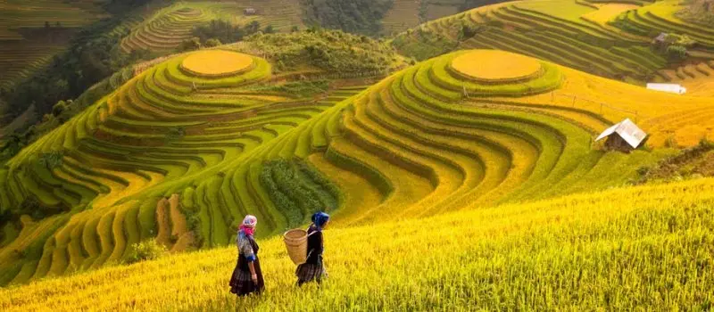 Joyaux du Vietnam Joyaux du Vietnam