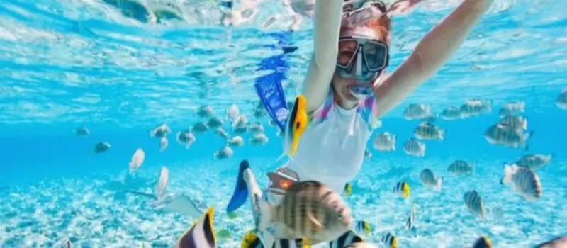 Plongée et snorkeling à Nha Trang Plongée et snorkeling à Nha Trang