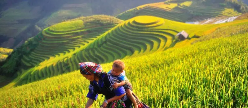 Mu Cang Chai, Vietnam Mu Cang Chai, Vietnam