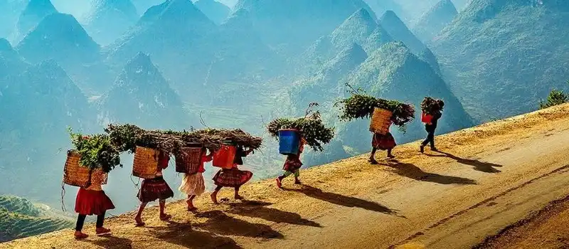 Trekking à Hoang Su Phi, Ha Giang