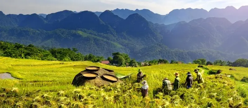 Trekking dans la réserve naturelle de Pu Luong, Vietnam Trekking dans la réserve naturelle de Pu Luong, Vietnam