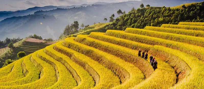 Meilleures randonnées à Mu Cang Chai Meilleures randonnées à Mu Cang Chai