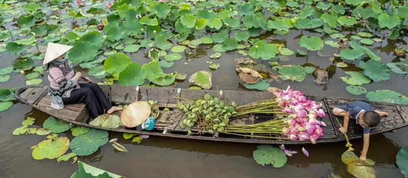 Découverte de Dong Thap, agence de voyage au Vietnam Découverte de Dong Thap, agence de voyage au Vietnam