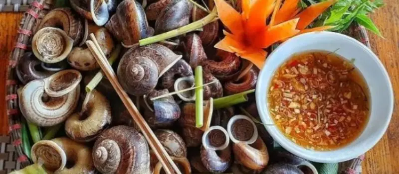 Découvrir l'authenticité de la cuisine Ninh Binh lors d'un voyage au Vietnam Découvrir l'authenticité de la cuisine Ninh Binh lors d'un voyage au Vietnam