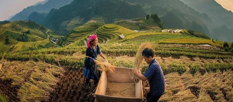 Trekking à Sapa