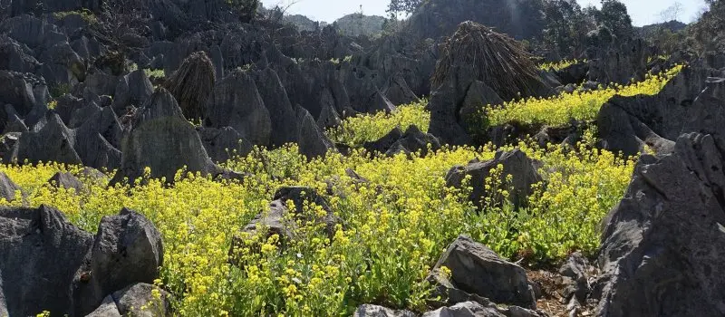 Ha Giang en avril Ha Giang en avril