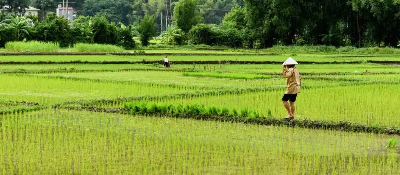 Mai Chau en juillet Mai Chau en juillet