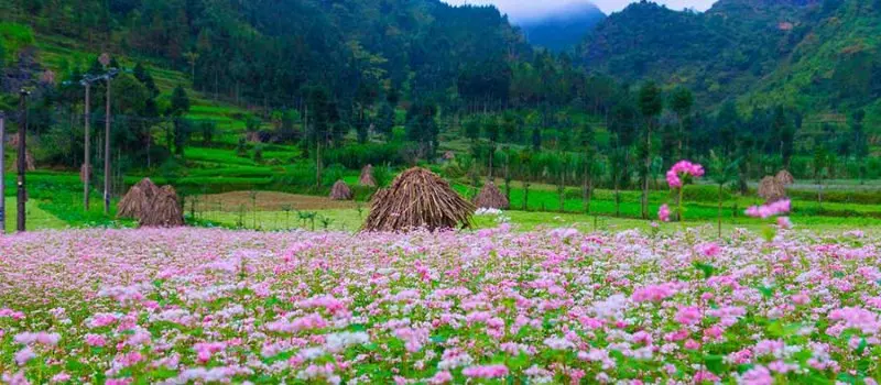7 jours découverte Nord-Est du Vietnam 7 jours découverte Nord-Est du Vietnam