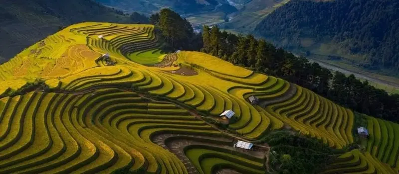 Voyage à Mu Cang Chai Voyage à Mu Cang Chai