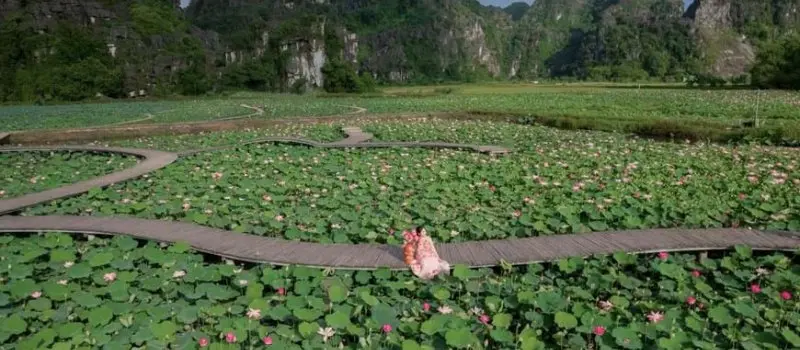 Beauté naturelle de Ninh Binh Beauté naturelle de Ninh Binh