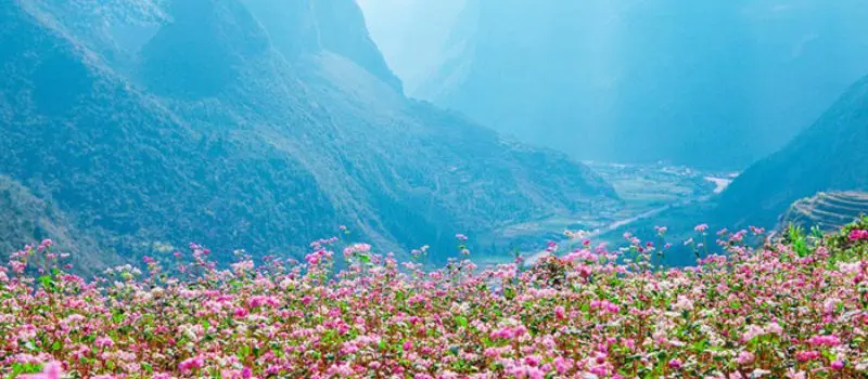 Beauté naturelle de Ha Giang Beauté naturelle de Ha Giang