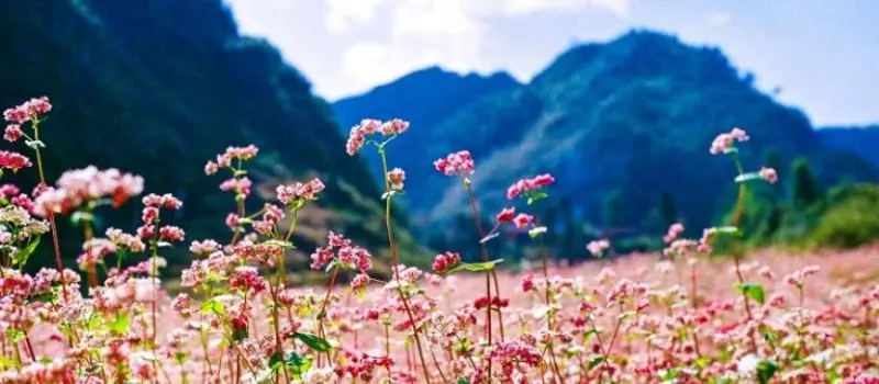 Voyage au Vietnam en automne