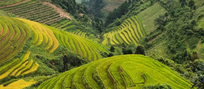 Voyage au Vietnam pas cher Voyage au Vietnam pas cher