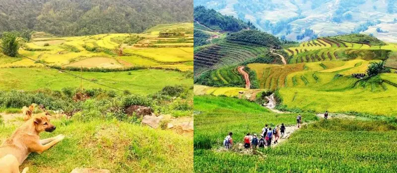 Découvrir Sapa hors des sentiers battus avec Guide francophone au Vietnam Découvrir Sapa hors des sentiers battus avec Guide francophone au Vietnam