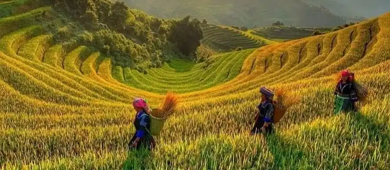 Beauté unique de Hoang Su Phi Beauté unique de Hoang Su Phi