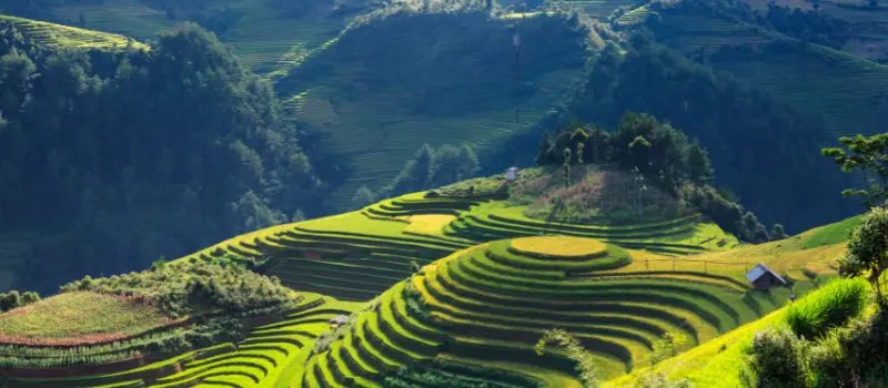 Climat doux et agréable - La saison idéale pour voyager au Vietnam Climat doux et agréable - La saison idéale pour voyager au Vietnam