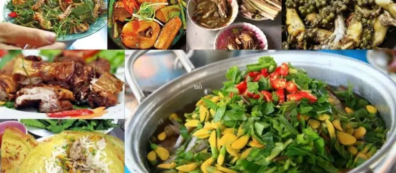 Cuisine du Sud Cuisine du Sud