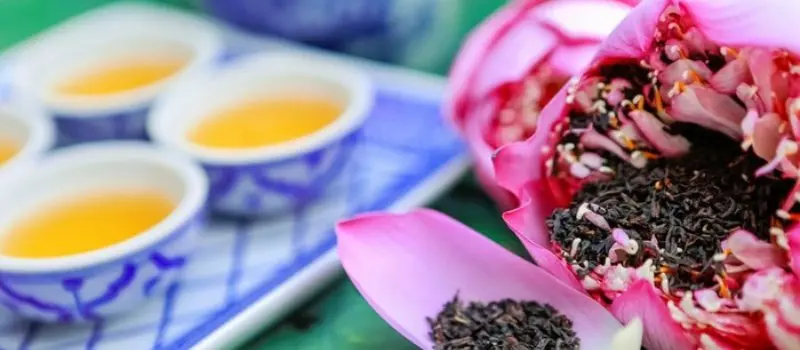 Thé au lotus au Vietnam Thé au lotus au Vietnam