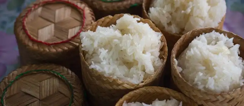 La gastronomie laotienne centrée sur Khao Niao La gastronomie laotienne centrée sur Khao Niao