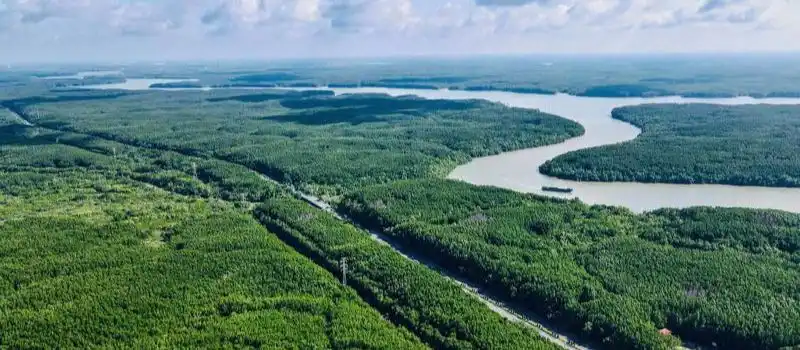 La réserve de biosphère de Can Gio La réserve de biosphère de Can Gio