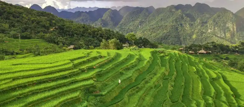La réserve naturelle de Pu Luong La réserve naturelle de Pu Luong