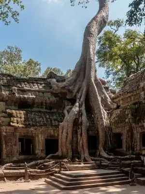 La saison sèche Cambodge