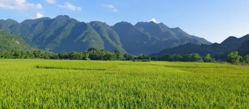 La vallée de Mai Chau La vallée de Mai Chau