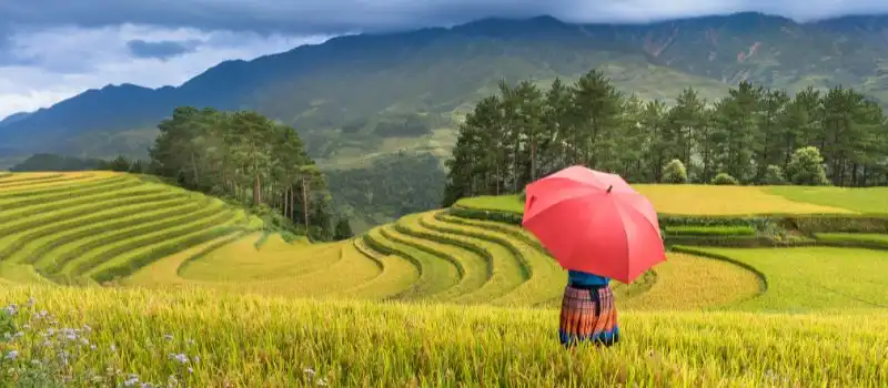 Le sur-mesure pour tracer le voyage aventure au Vietnam parfait Le sur-mesure pour tracer le voyage aventure au Vietnam parfait