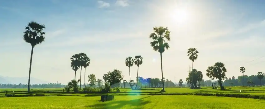 Les meilleurs terrains de golf à Ho Chi Minh et Sud du Vietnam Les meilleurs terrains de golf à Ho Chi Minh et Sud du Vietnam